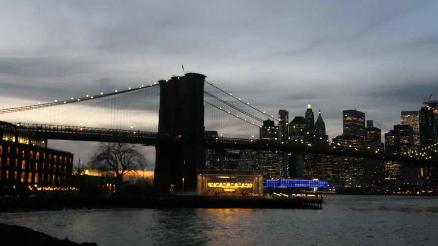 NYC_2020-01-30 17-29-41_P1080868